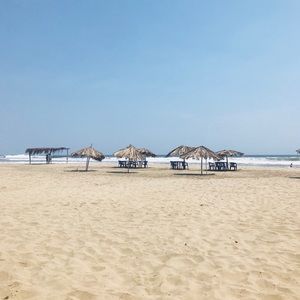 Meet your Posher, Luisa